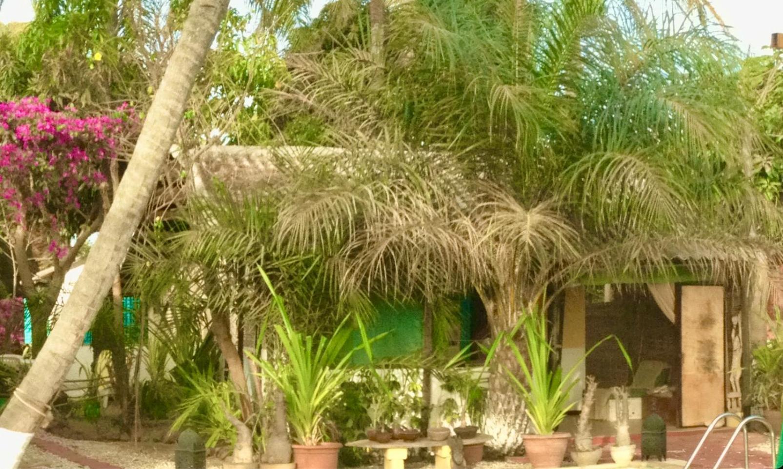 Ecolodge Safari Cap Skirring Exterior photo